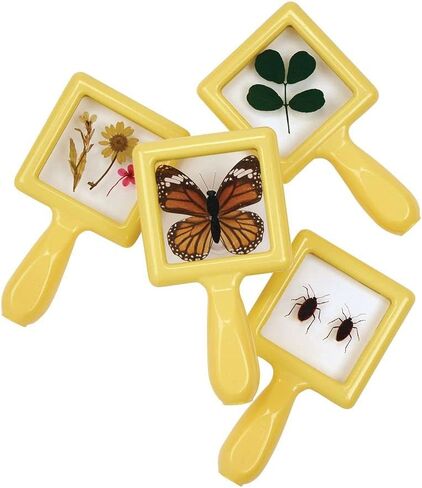 Environments Toddler, Preschool Early STEM, Specimen Viewers for Kids, Science Education Set of 4 in Saudi Arabia