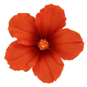 Global Sugar Art Hibiscus Sugar Cake Flowers, Red, Large 9 Count by Chef Alan Tetreault
