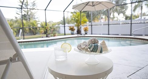 مجموعة صدف البحر الفاخرة | 3 اصداف بحرية فريدة - 2 قنفذ بحر سبوتنيك ونجم البحر نوبي | ديكور منزل الشاطئ in Kuwait