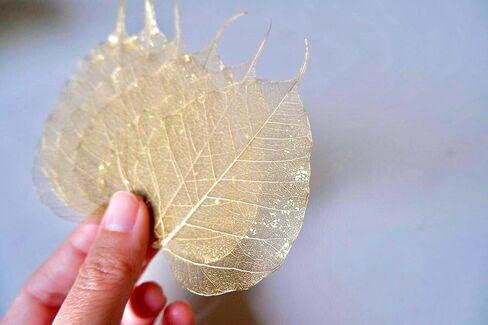 100 قطعة من أوراق الهيكل العظمي وأوراق ذهبية وأوراق اللبخ الطبيعية من أجل الحرف اليدوية المصنوعة من الراتنج وقصاصات القصاصات DIY وبطاقات الزفاف وأوراق صغيرة (ذهبي) in Kuwait