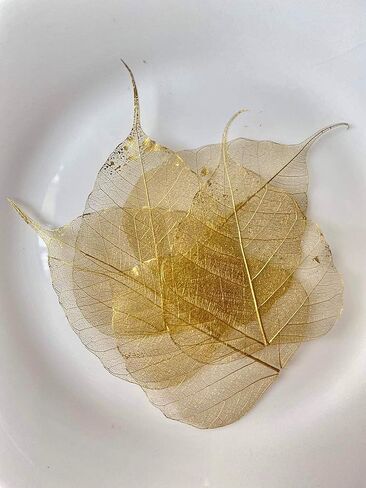 100 قطعة من أوراق الهيكل العظمي وأوراق ذهبية وأوراق اللبخ الطبيعية من أجل الحرف اليدوية المصنوعة من الراتنج وقصاصات القصاصات DIY وبطاقات الزفاف وأوراق صغيرة (ذهبي) in Kuwait