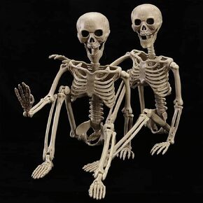 HBSTK 2 Pack 40 Inches Halloween Skeleton Life Size Full Body Posable Movable Jonints for Halloween Decoration Décor in Kuwait