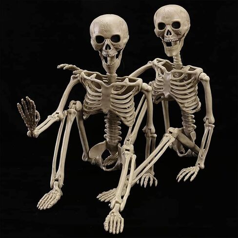 HBSTK 2 Pack 40 Inches Halloween Skeleton Life Size Full Body Posable Movable Jonints for Halloween Decoration Décor in Kuwait