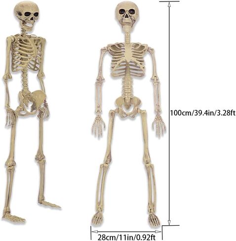 HBSTK 2 Pack 40 Inches Halloween Skeleton Life Size Full Body Posable Movable Jonints for Halloween Decoration Décor in Kuwait