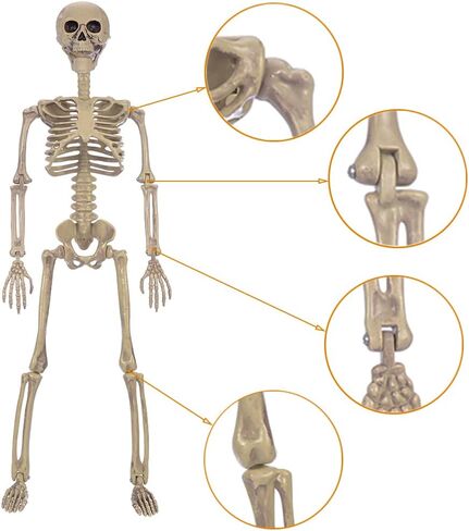 HBSTK 2 Pack 40 Inches Halloween Skeleton Life Size Full Body Posable Movable Jonints for Halloween Decoration Décor in Kuwait