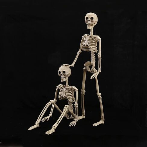 HBSTK 2 Pack 40 Inches Halloween Skeleton Life Size Full Body Posable Movable Jonints for Halloween Decoration Décor in Kuwait