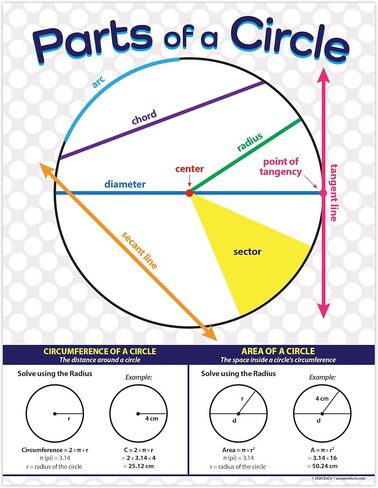 Safety Magnets ZOCO - Parts of a Circle Posters - Laminated, 17 x 22 inches - Geometry Posters for Middle and High School, Math Poster for Classrooms - Algebra, Pythagoras & Math Terms in Saudi Arabia