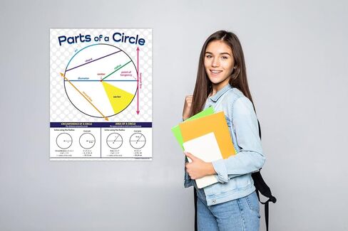 Safety Magnets ZOCO - Parts of a Circle Posters - Laminated, 17 x 22 inches - Geometry Posters for Middle and High School, Math Poster for Classrooms - Algebra, Pythagoras & Math Terms in Saudi Arabia