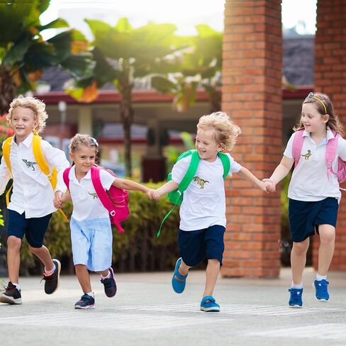 Aucuu 14 حزمة من الرقع المطرزة على شكل ديناصور، مزخرفة للملابس، والقبعات، والجينز، والسترات، والفساتين، والكي أو الخياطة على الرقع، وإكسسوارات تزيين لطيفة DIY لملابس الأولاد والبنات in Kuwait