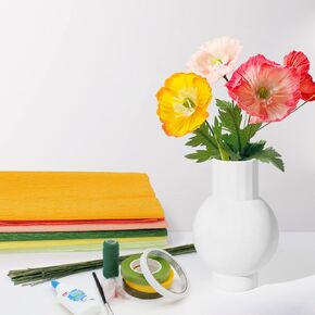 Crepe Paper Flower DIY Kits with 6 Rolls,12 Pcs Flowers Material With Paper Rolls,Iron Wire, Floral Tape for Birthday Party Festival Ornament Handmade Floral Gift Home Decor Paper Poppies Poppy
