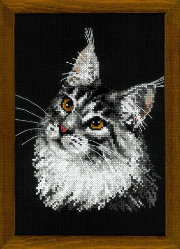 RIOLIS 1599 - Maine Coon - Counted Cross Stitch Kit 8¼" x 11¾" Zweigart 10 ct. Black AIDA 11 Colors in Saudi Arabia