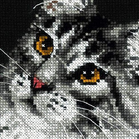 RIOLIS 1599 - Maine Coon - Counted Cross Stitch Kit 8¼" x 11¾" Zweigart 10 ct. Black AIDA 11 Colors in Saudi Arabia