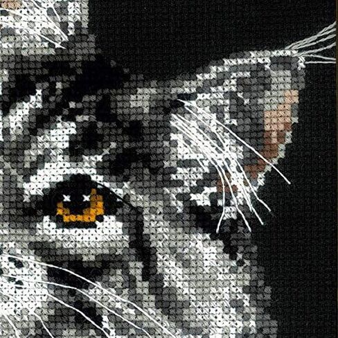 RIOLIS 1599 - Maine Coon - Counted Cross Stitch Kit 8¼" x 11¾" Zweigart 10 ct. Black AIDA 11 Colors in Saudi Arabia