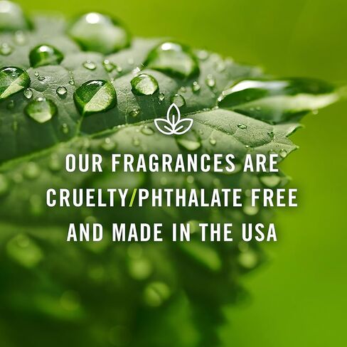 P&J Fragrance Oil | Mountain Air Oil 100ml - Candle Scents for Candle Making, Freshie Scents, Soap Making Supplies, Diffuser Oil Scents in Saudi Arabia