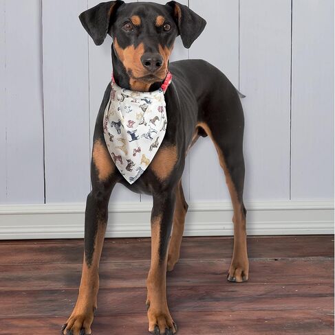 Simplicity Sewing Pattern S9446 Pet Crate Covers in Three Sizes and Accessories, White,OSFA,SS9446OS in Saudi Arabia