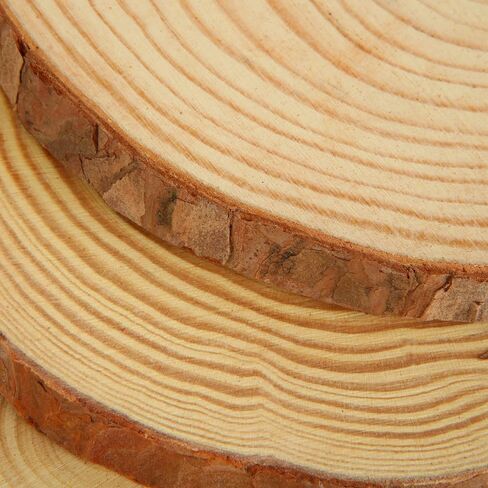 AKOLAFE 10 Pack Natural Wood Slices for Centerpieces Base Rustic Wood Slices for Crafts Large Wood Slice Ornaments Unfinished Wood Rounds Wooden Discs Circles Slab Tree Slices for Tables (6."3-6.7") in Kuwait