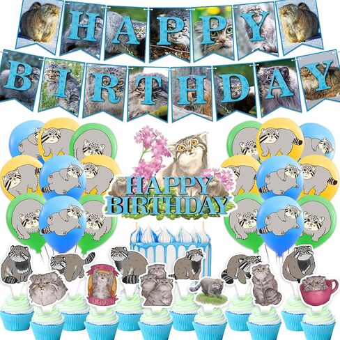 Steppe Cat Party Decorations Pallas Cat Birthday Party Supplies Includes Steppe Cat Birthday Banner Cake Topper Cupcake Toppers Balloons for Steppe Cat Birthday Supplies Kitten Party in Kuwait
