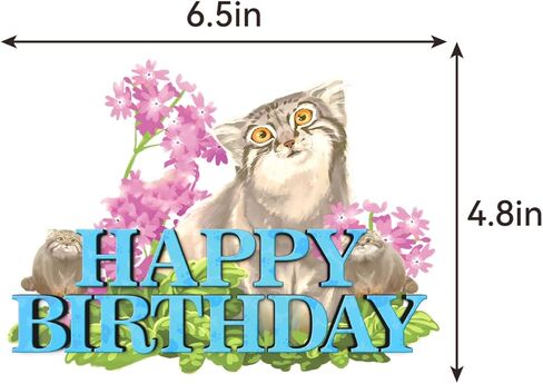 Steppe Cat Party Decorations Pallas Cat Birthday Party Supplies Includes Steppe Cat Birthday Banner Cake Topper Cupcake Toppers Balloons for Steppe Cat Birthday Supplies Kitten Party in Kuwait