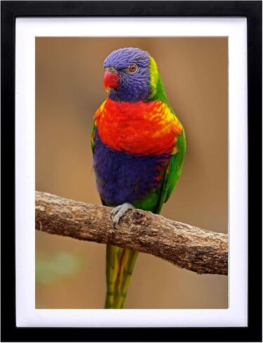 Mxtallup 14x18 Diamond Painting Frames Wood,Display Pictures 12x16 Inch/30X40 cm with Mat or 14x18 Inch /35X45 cm Without Mat, Diamond Art Picture Frame Black (TK004) in Saudi Arabia