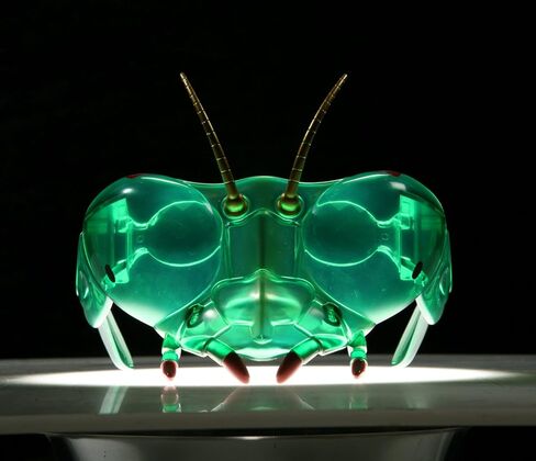 Insect Lore Buzzerks-Mantis in Kuwait