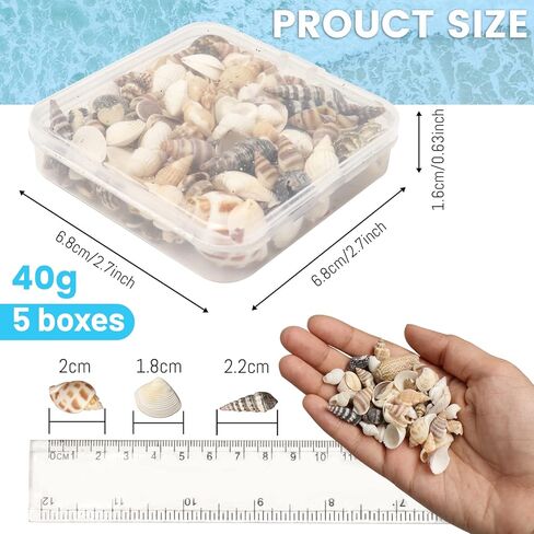 ايرا بوليت اصداف بحر صغيرة مختلطة لولبية متنوعة لتزيين الشاطئ وديكور المنزل وحفلات الزفاف بطابع الشاطئ والحرف اليدوية وحوض السمك وحشو المزهرية (5 عبوات) in Kuwait
