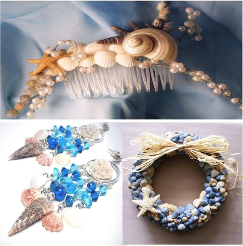 ايرا بوليت اصداف بحر صغيرة مختلطة لولبية متنوعة لتزيين الشاطئ وديكور المنزل وحفلات الزفاف بطابع الشاطئ والحرف اليدوية وحوض السمك وحشو المزهرية (5 عبوات) in Kuwait