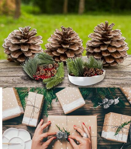 سيجوبي مزهرية عيد الميلاد حشو حشو اللؤلؤ العائم مخاريط الصنوبر لتزيين كرات التوت الأحمر الاصطناعي إبر الصنوبر الصناعي تزيين الفروع وحشو الأوعية المزخرفة للقطع المركزية... in Kuwait