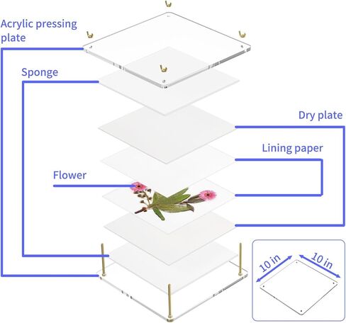 تايتي مجموعة ضغط زهور احترافية كبيرة من الاكريليك مكونة من 6 طبقات للكبار، مجموعة حفظ النباتات سريعة الجفاف مع شنطة تخزين، هدية للمبتدئين ومحبي الحرف اليدوية 10×10 انش in Kuwait