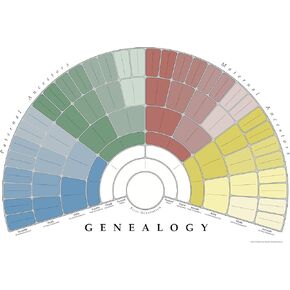مخطط مروحة ملصق الحائط لشجرة العائلة من TreeSeek® | نموذج نسب كبير ملون وفارغ وقابل للتعبئة لأبحاث النسب وتاريخ العائلة | طباعة ديكور 2pk in Kuwait