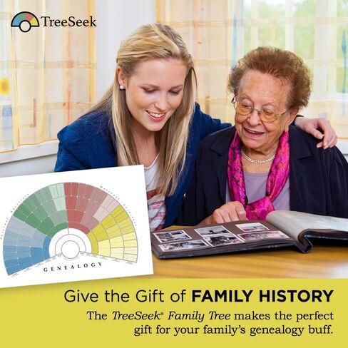 مخطط مروحة ملصق الحائط لشجرة العائلة من TreeSeek® | نموذج نسب كبير ملون وفارغ وقابل للتعبئة لأبحاث النسب وتاريخ العائلة | طباعة ديكور 2pk in Kuwait