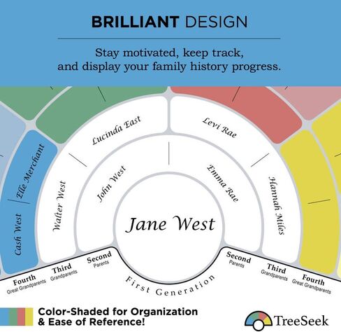 مخطط مروحة ملصق الحائط لشجرة العائلة من TreeSeek® | نموذج نسب كبير ملون وفارغ وقابل للتعبئة لأبحاث النسب وتاريخ العائلة | طباعة ديكور 2pk in Kuwait