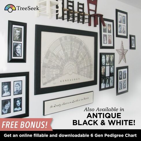 مخطط مروحة ملصق الحائط لشجرة العائلة من TreeSeek® | نموذج نسب كبير ملون وفارغ وقابل للتعبئة لأبحاث النسب وتاريخ العائلة | طباعة ديكور 2pk in Kuwait