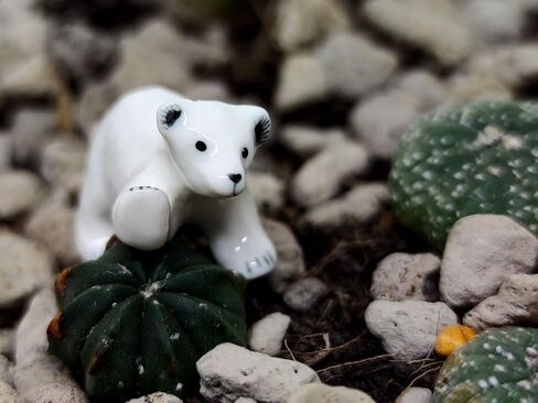 Polar Bear Micro Tiny Dollhouse Figurines Ceramic Hand Painted Animals Collectible Small Gift Home Garden Decor (Polar) in Kuwait