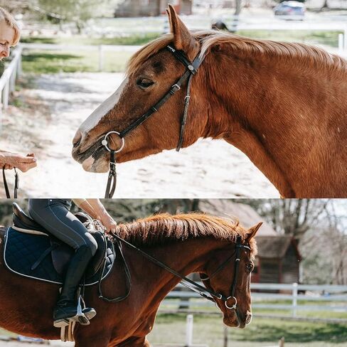 4 قطع 3 انش من الستانلس ستيل بدون خياطة على شكل حرف O حلقة دائرية معدنية متعددة الاغراض للحرف اليدوية المكرمية وشنط اليد وحزام التخييم وسلاسل الكلاب، فضي، L in Kuwait