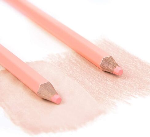qianshan 2 Pcs Black White Color Charcoal Pencils, Professional Hight Quality Sketch Highlight Charcoal Wooden Pencils for Artist Drawing, Sketching, Blending, 2 Colors of 1 Black, 1White in Saudi Arabia