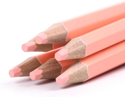 qianshan 2 Pcs Black White Color Charcoal Pencils, Professional Hight Quality Sketch Highlight Charcoal Wooden Pencils for Artist Drawing, Sketching, Blending, 2 Colors of 1 Black, 1White in Saudi Arabia