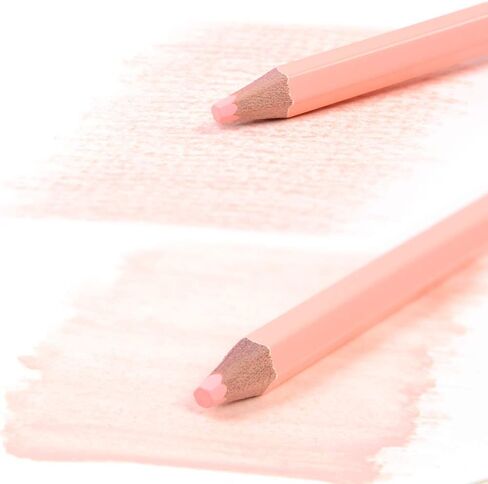 qianshan 2 Pcs Black White Color Charcoal Pencils, Professional Hight Quality Sketch Highlight Charcoal Wooden Pencils for Artist Drawing, Sketching, Blending, 2 Colors of 1 Black, 1White in Saudi Arabia