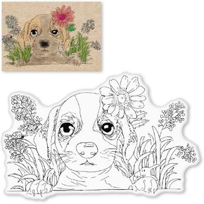 طوابع شفافة على شكل سنجاب أوراق الخريف لتزيين البطاقات بنفسك، طوابع ختم مطاطية شفافة لكلمات الخريف لمستلزمات صياغة ألبوم بطاقات الصور. in Kuwait