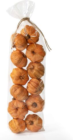 ANDALUCA Miniature Pumpkins Vase & Bowl Filler for Decorating & Crafts | Fall Pumpkin Home Decor (Mini Pumpkins) in Saudi Arabia