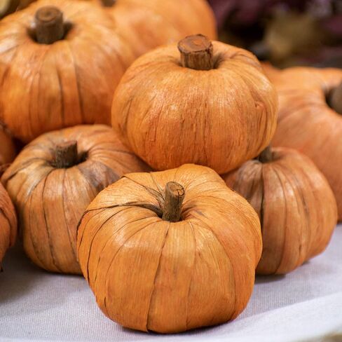 ANDALUCA Miniature Pumpkins Vase & Bowl Filler for Decorating & Crafts | Fall Pumpkin Home Decor (Mini Pumpkins) in Saudi Arabia