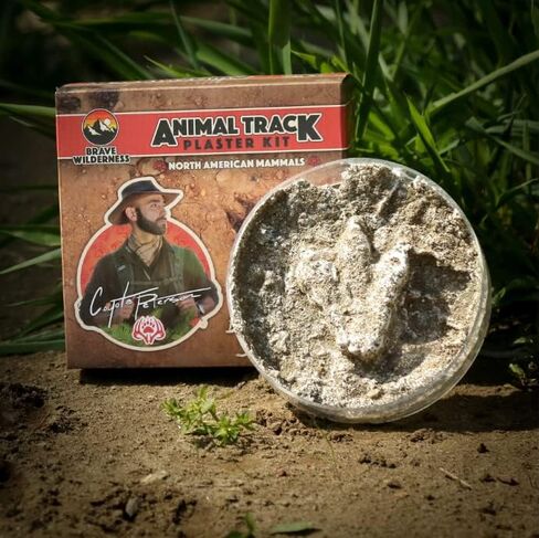 Brave Wilderness Animal Track Plaster Casting Kit for use on Animal Tracks and Footprints by Coyote Peterson in Saudi Arabia