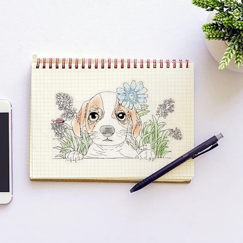 طوابع شفافة على شكل سنجاب أوراق الخريف لتزيين البطاقات بنفسك، طوابع ختم مطاطية شفافة لكلمات الخريف لمستلزمات صياغة ألبوم بطاقات الصور. in Kuwait