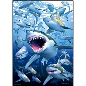 DCIDBEI حجر الراين الماس اللوحة ، DIY 5D الماس الطلاء بواسطة الرقم عدة لطيف القرش حجر الراين التطريز الصليب مجموعات الإمداد الفنون الحرفية قماش ديكور الحائط ملصقات ديكور المنزل 12x16 بوصة in Kuwait