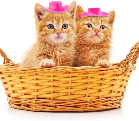 40 قطعة من قبعة رعاة البقر الغربية الصغيرة، قبعة راعية البقر البلاستيكية مصغرة لطيفة، اكسسوارات تزيين الحفلات لبيت الدمى واللعب in Kuwait