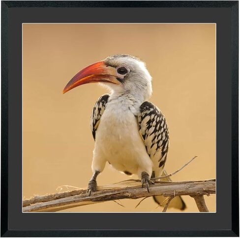 ام اكس تالوب اطارات صور فنية ماسية مقاس 16×16 انش مقاس 14×14 انش، عرض الصور مقاس 14×14 انش/ 35×35 سم مع بساط او 16×16 انش/ 40×40 سم بدون سجادة، تطريز ماسي للحائط مقاس 16×16 انش in Saudi Arabia