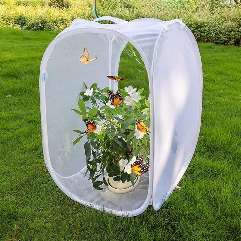 Pop-up Insect and Butterfly Habitat Cage Terrarium Clear Mesh Enclosure - 16" x 16" x 24" in Saudi Arabia