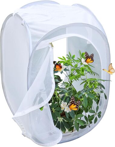Pop-up Insect and Butterfly Habitat Cage Terrarium Clear Mesh Enclosure - 16" x 16" x 24" in Saudi Arabia