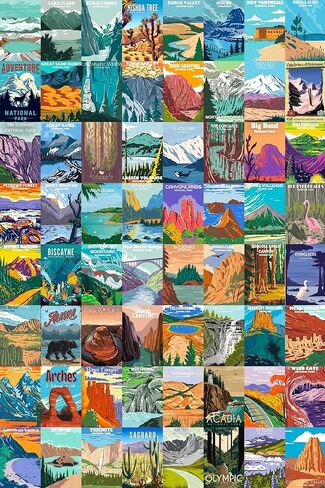 أحجية المتنزهات الوطنية الخشبية للبالغين 1000 قطعة - جميع ملصقات ألغاز المتنزهات الوطنية البالغ عددها 64 تتضمن يلوستون، يوسمايت، كولورادو/جراند كانيون، نهر جليدي/صهيون/عتيق/أكاديا، يتضمن ملصق كبير in Kuwait