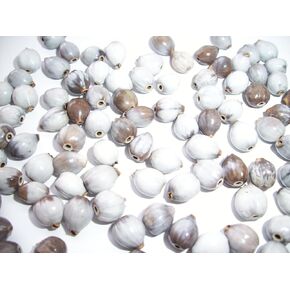 Job's Teardrop Beads Natural 8-10mm Pkg of 30 in Saudi Arabia