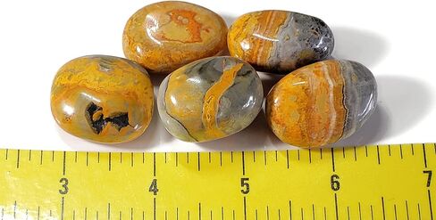 1 قطعة نحلة جاسبر متوسطة/كبيرة نادر ملمع باليد كريستال الأحجار الكريمة عينة من بالي إندونيسيا in Kuwait